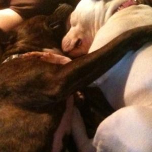 Meet your Posher, Brandie